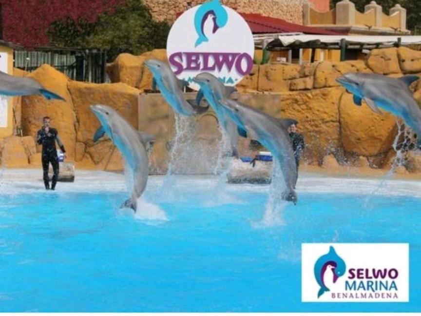 Benalmadena Beach Apartamento Con Vistas Al Mar Y Parking Privado Incluido Eksteriør billede